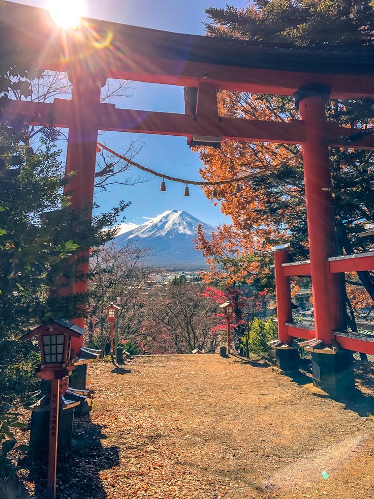 the sun shines brightly on an autumn day