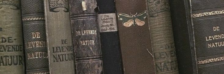 a row of old books on a shelf