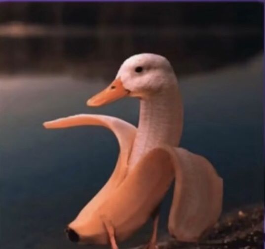 a duck is standing on the edge of a body of water with it's wings spread out