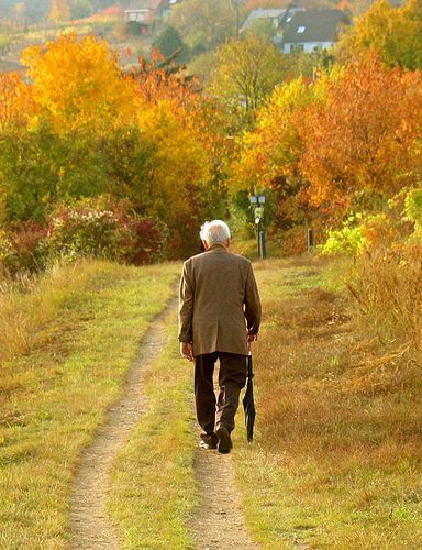 an elderly man walking down a dirt road in the fall with his dog on a leash