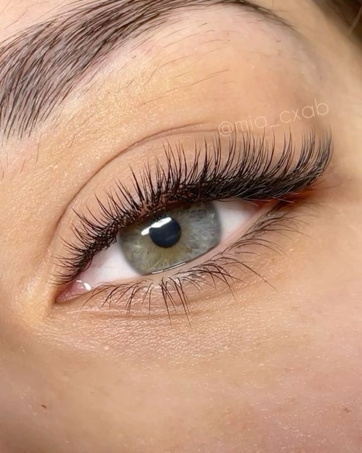 Classic Lash Extensions Styles, Lash Extensions Classic, Natural Fake Eyelashes, Lashes Fake Eyelashes, Cat Eye Lash, Eyelash Extensions Styles, Perfect Eyelashes, Pretty Lashes, Lash Extensions Styles