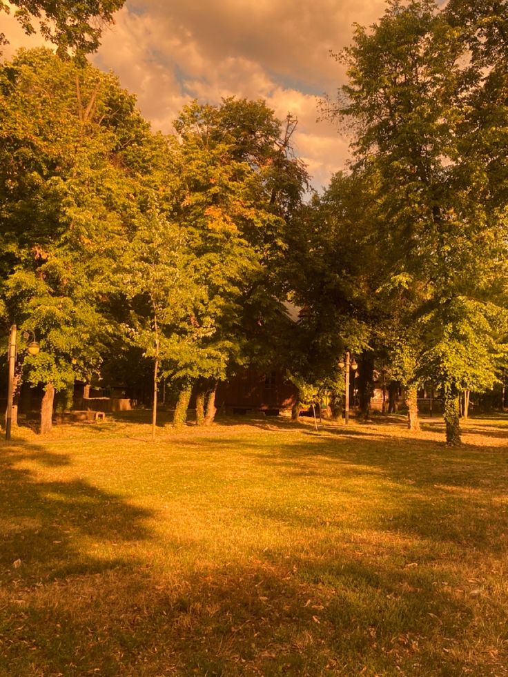 a grassy field with trees in the background