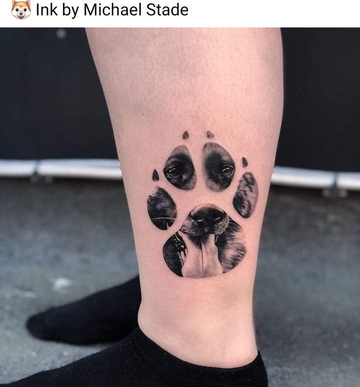 a dog's paw print on the right leg is shown in black and white