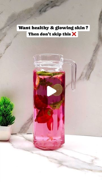 a glass pitcher filled with liquid next to a potted plant