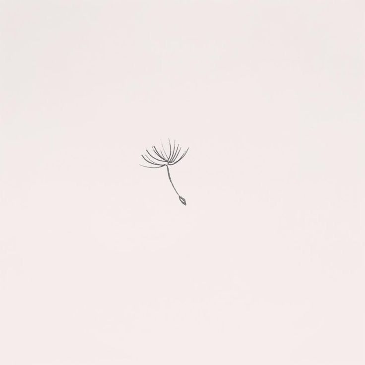 a single dandelion in the middle of a white sky