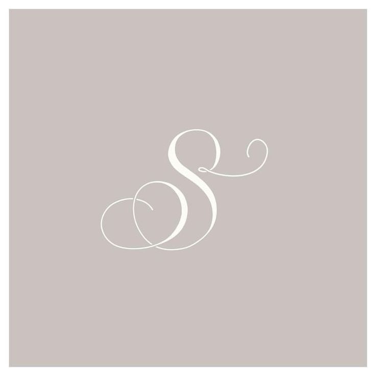 the letter s is shown in white on a gray background with an elegant swirl design