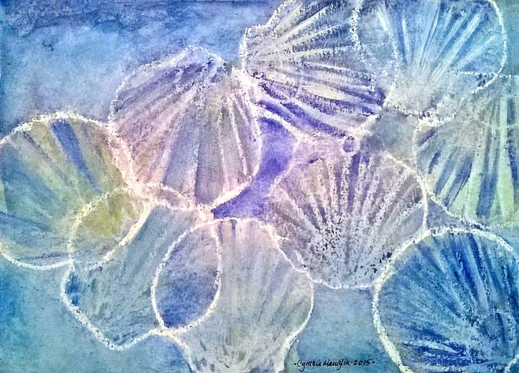 an artistic drawing of seashells on blue paper