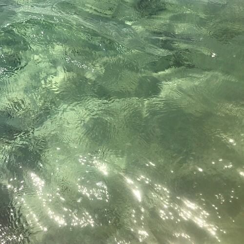 the water is so clear that you can see it's ripples on the surface