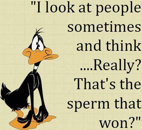 a cartoon duck with the words, i look at people's sometimes and think really