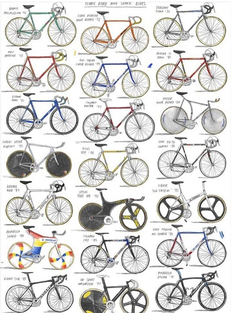 the different types of bicycles that are on display