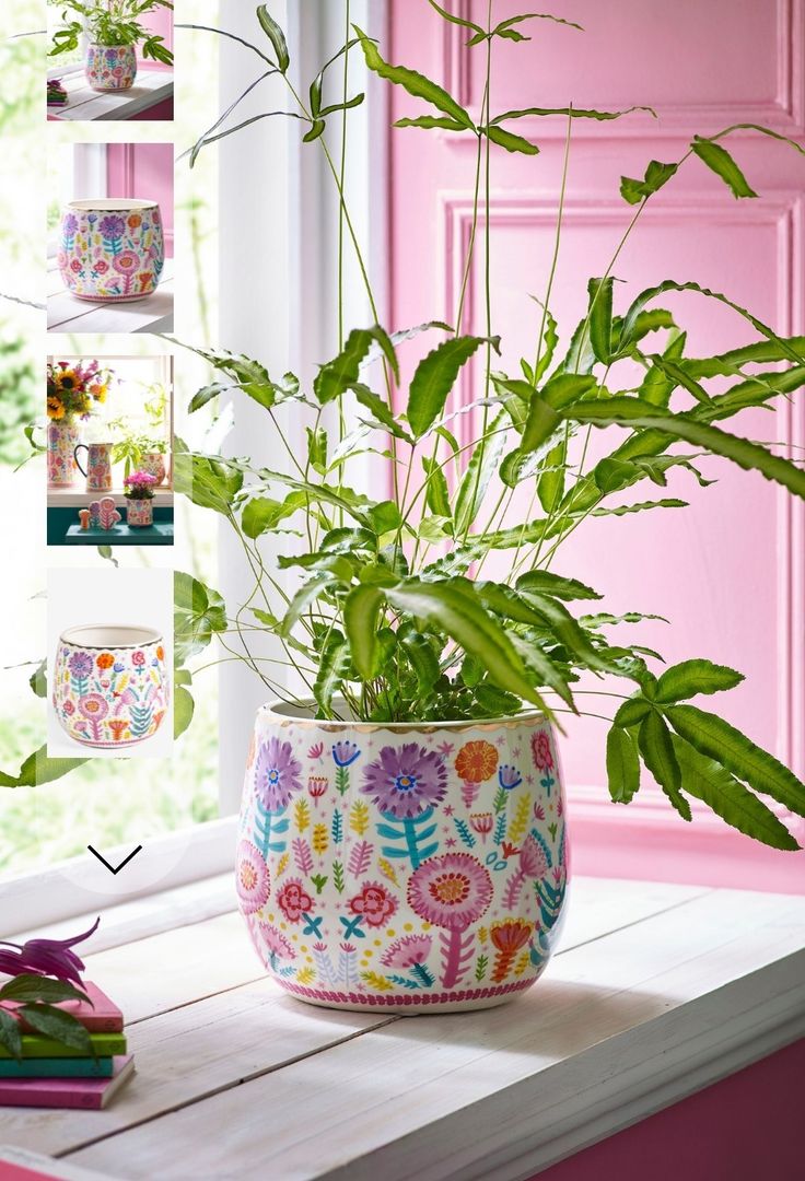 a potted plant sitting on top of a window sill next to a pink door