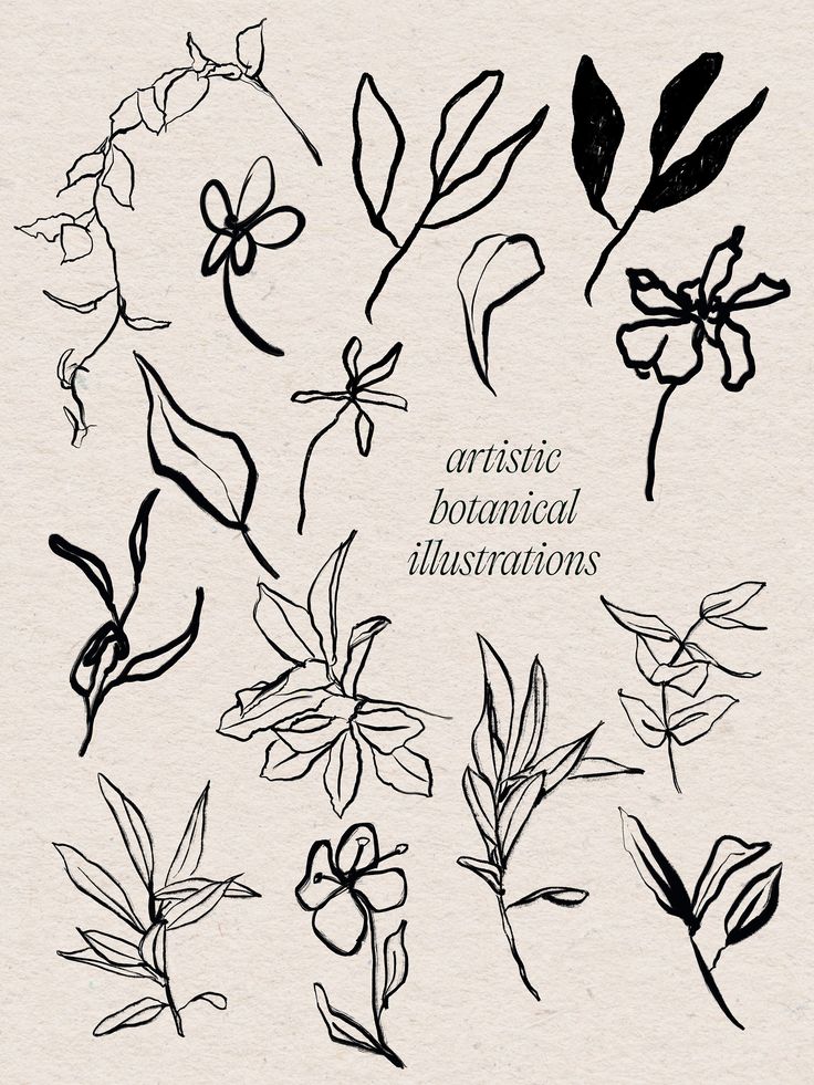 various hand drawn flowers and leaves