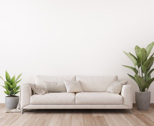 a white couch sitting next to two potted plants on top of a hard wood floor