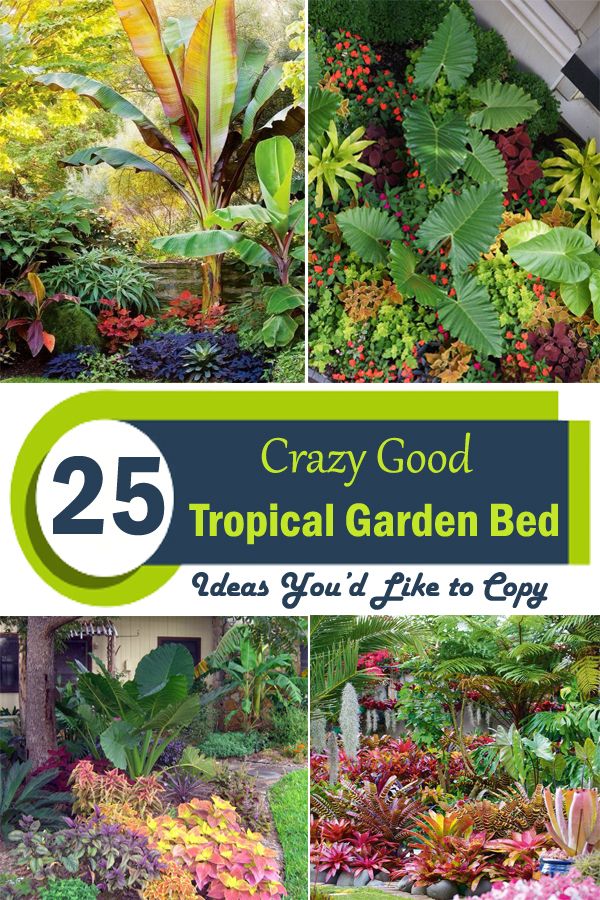 several different types of tropical garden beds with text overlay that reads 25 crazy good tropical garden bed ideas you'll like to copy