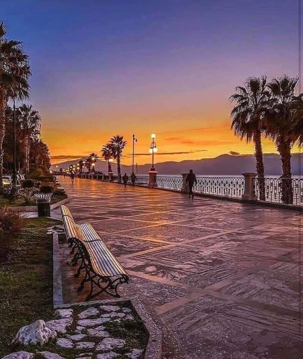 a bench sitting on the side of a road next to palm trees and water at sunset