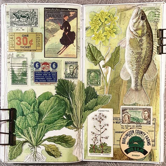 an open book with various stamps and plants on the pages, including leaves, flowers, and fish