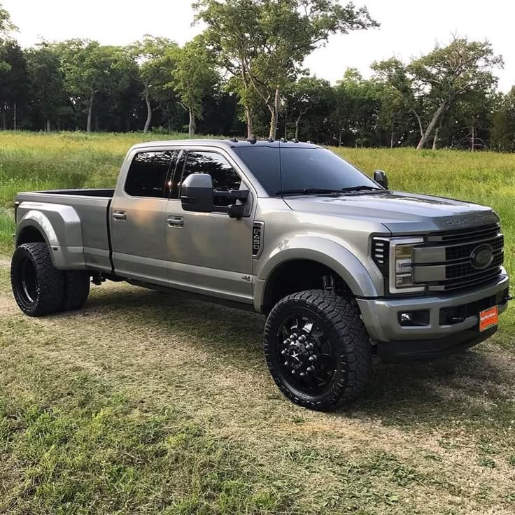 a silver truck parked on top of a grass covered field in front of some trees