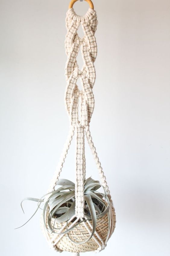 an air plant hanging from a rope with succulents in it on a white background