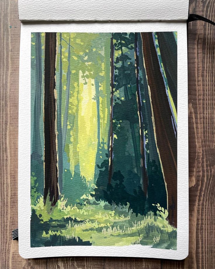 a painting of trees in the woods with sunlight coming through them on a piece of paper