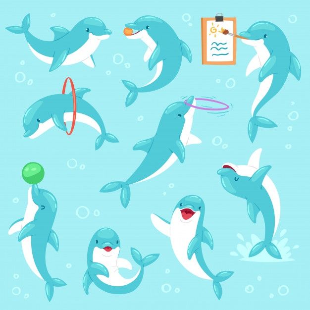 dolphins swimming in the water and playing with toys