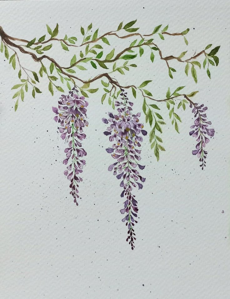 watercolor painting of purple flowers hanging from a branch with green leaves on white paper