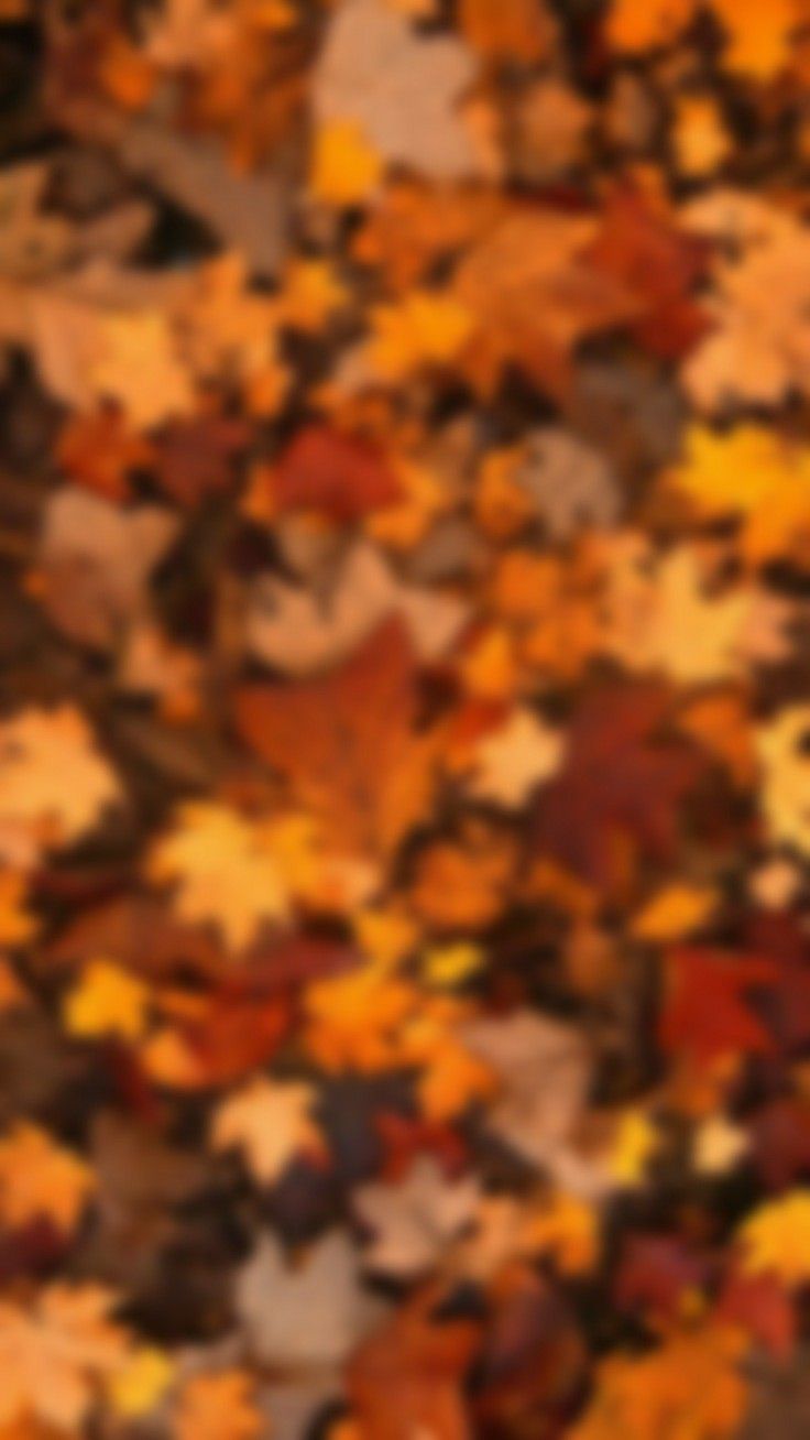 an abstract image of autumn leaves in shades of brown, yellow and orange