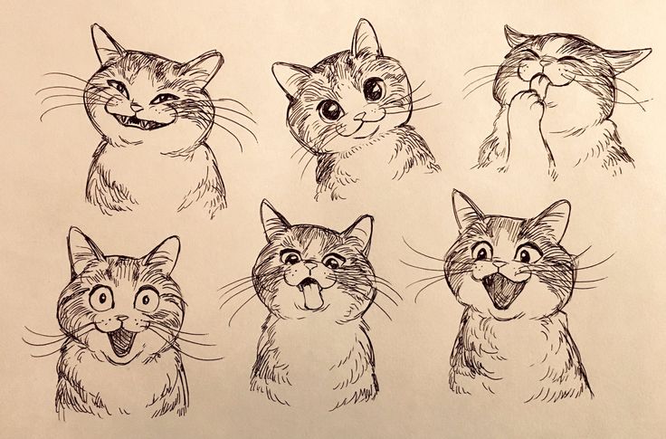 a drawing of cats with different facial expressions