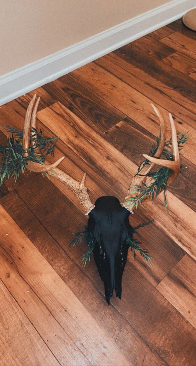 a deer's head with antlers and pine branches on the floor in front of a wall