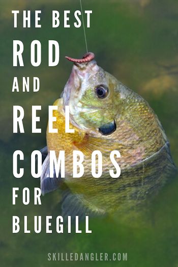 a fish with the words, the best rod and reel combos for bluegill