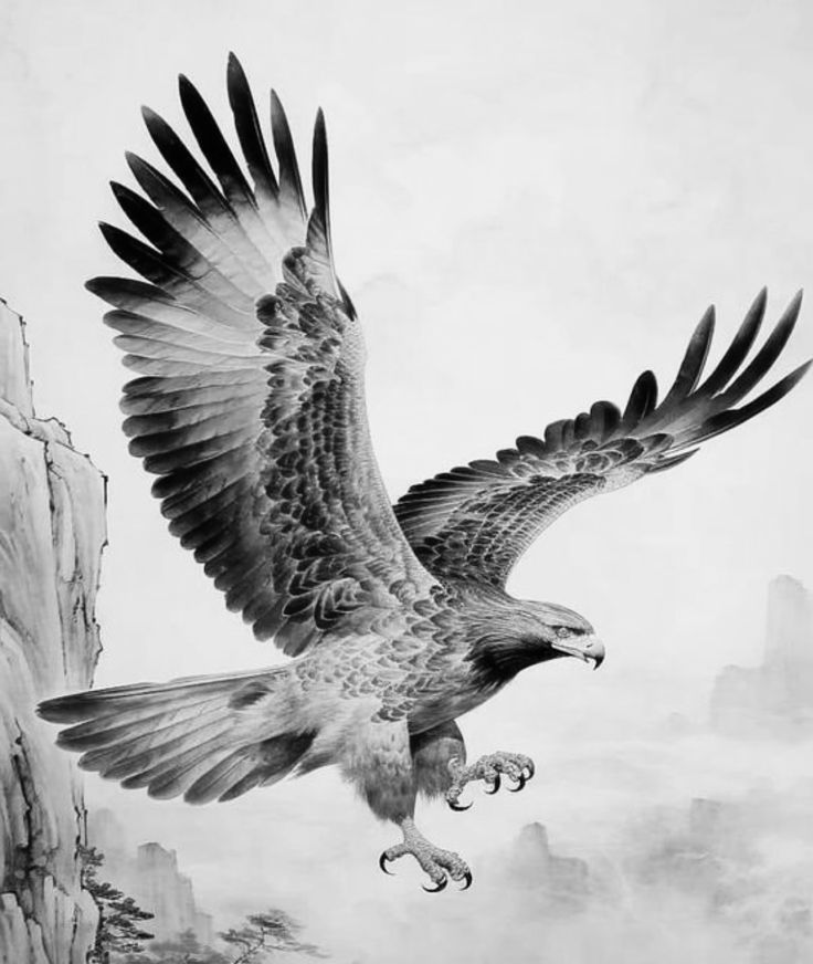 a drawing of an eagle flying over a rocky mountain range with its prey in it's talon