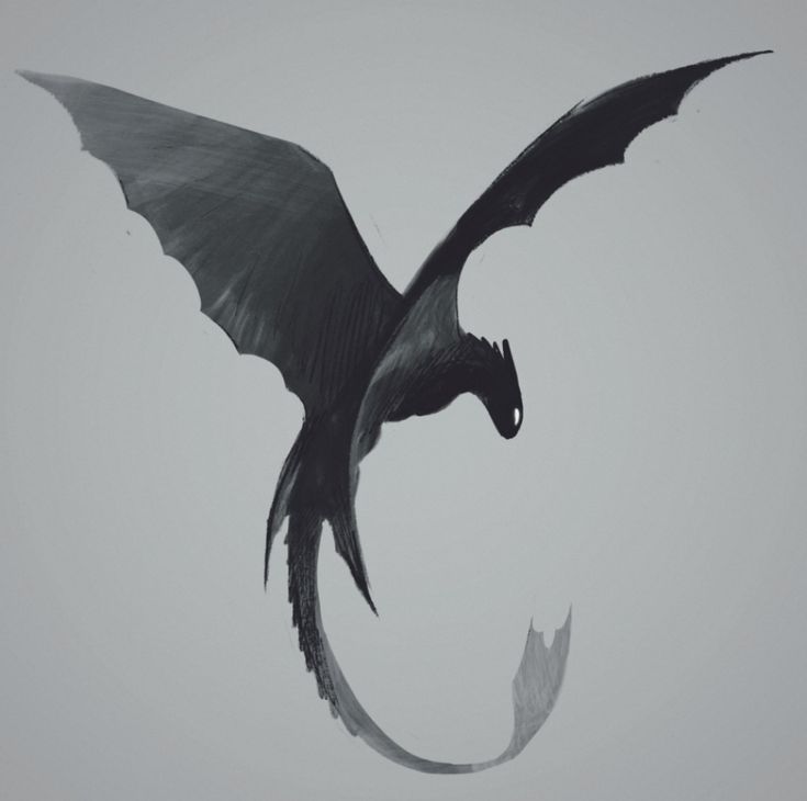 a large black dragon flying through the air