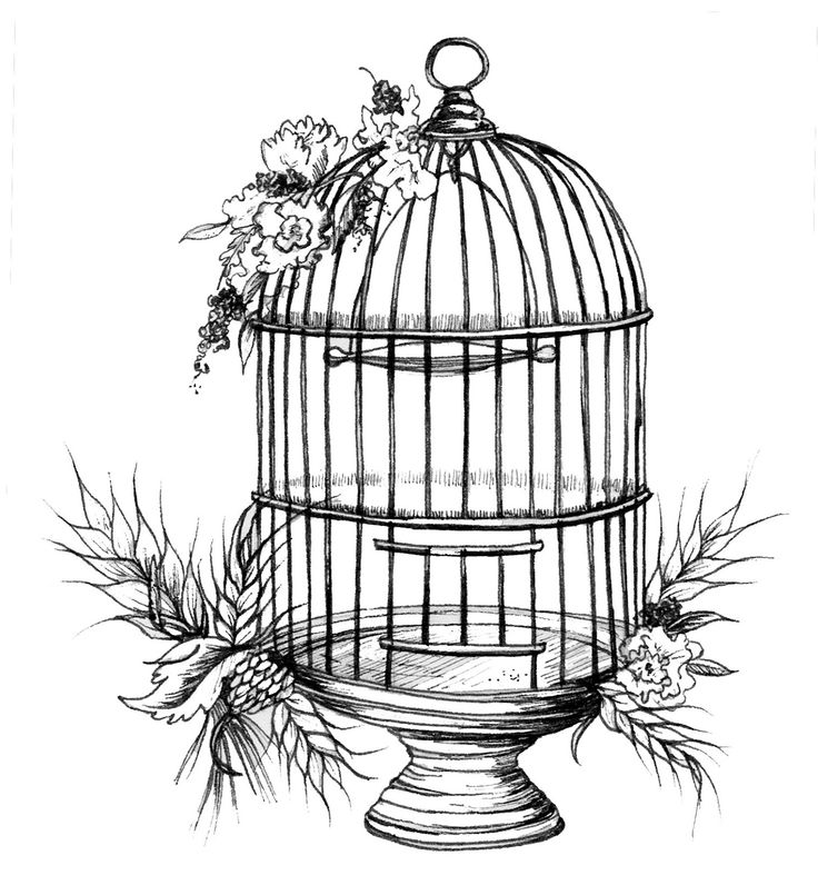 a birdcage with flowers on the top is shown in this black and white drawing