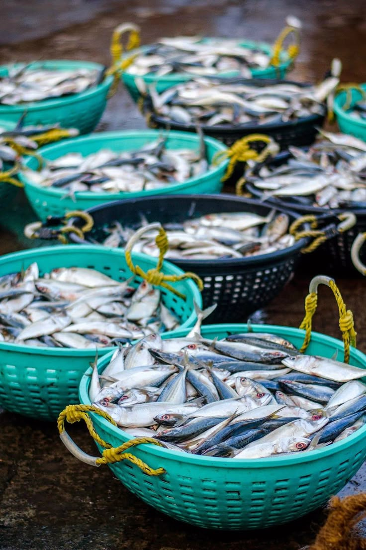 several baskets filled with fish sitting on top of a table