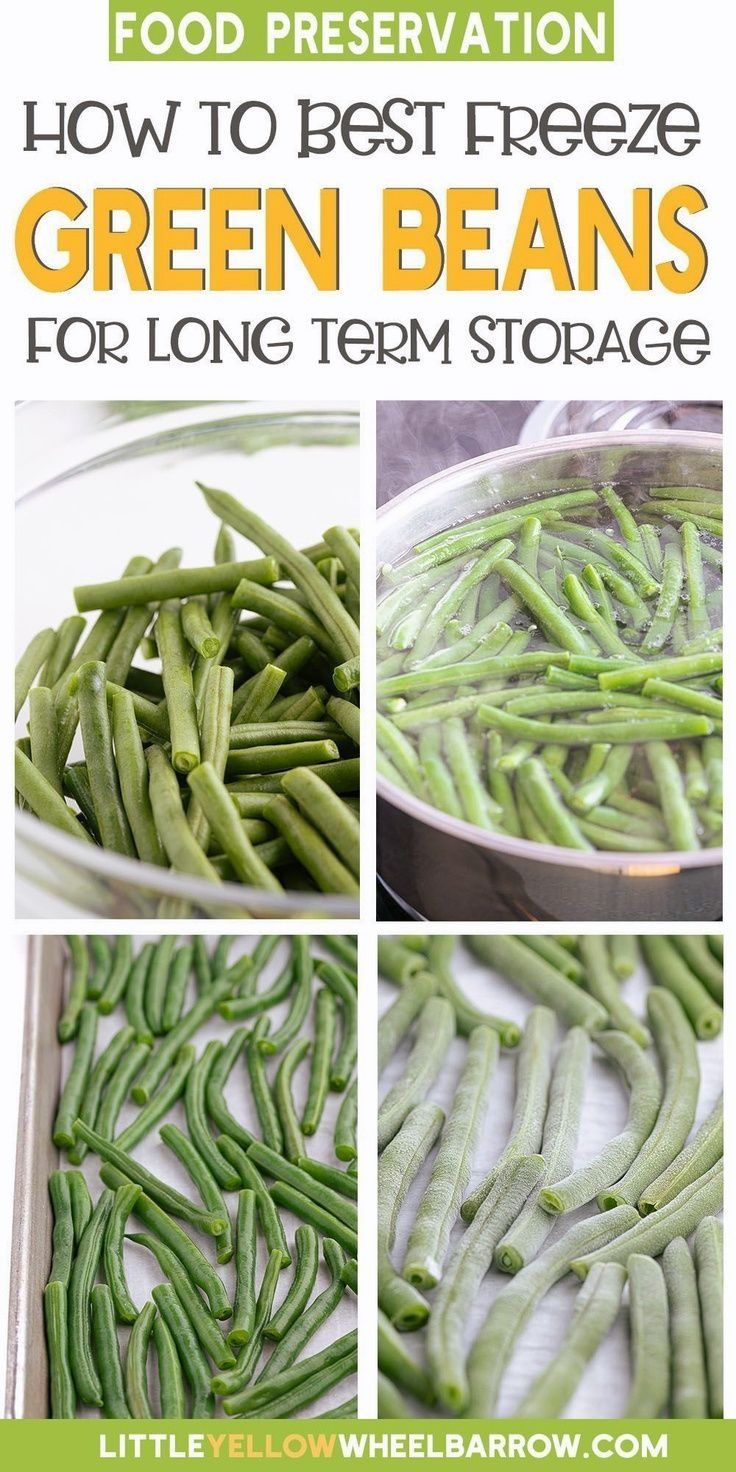 how to freeze green beans for long term storage and use them as food prepping