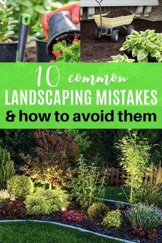 the words 10 common landscaping mistakes and how to avoid them