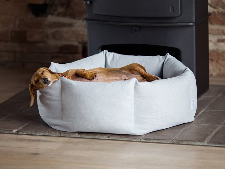 a dog laying in a bed on the floor