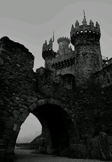 a black and white photo of an old castle with two archways leading to it