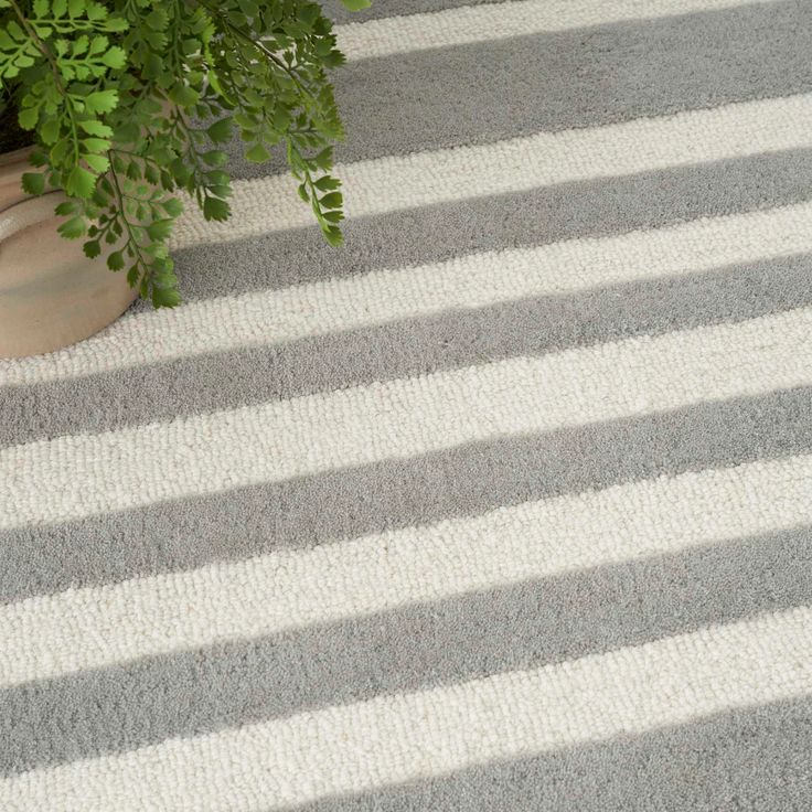 a potted plant sitting on top of a carpet next to a white and gray striped rug