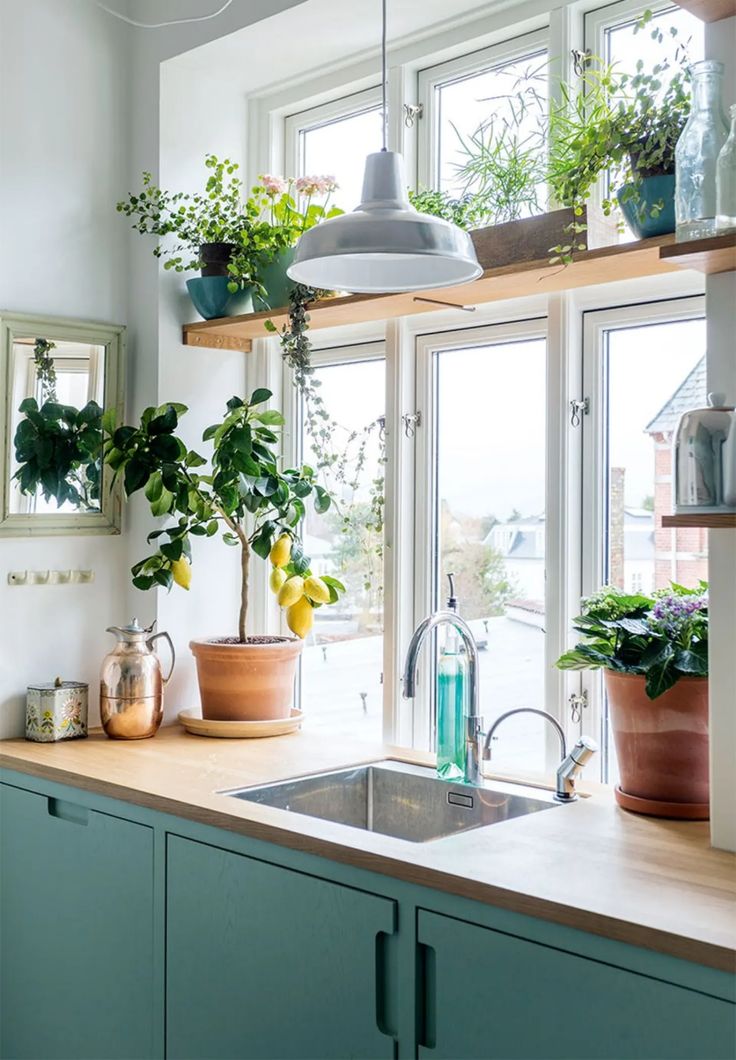 a kitchen with green cabinets and potted plants