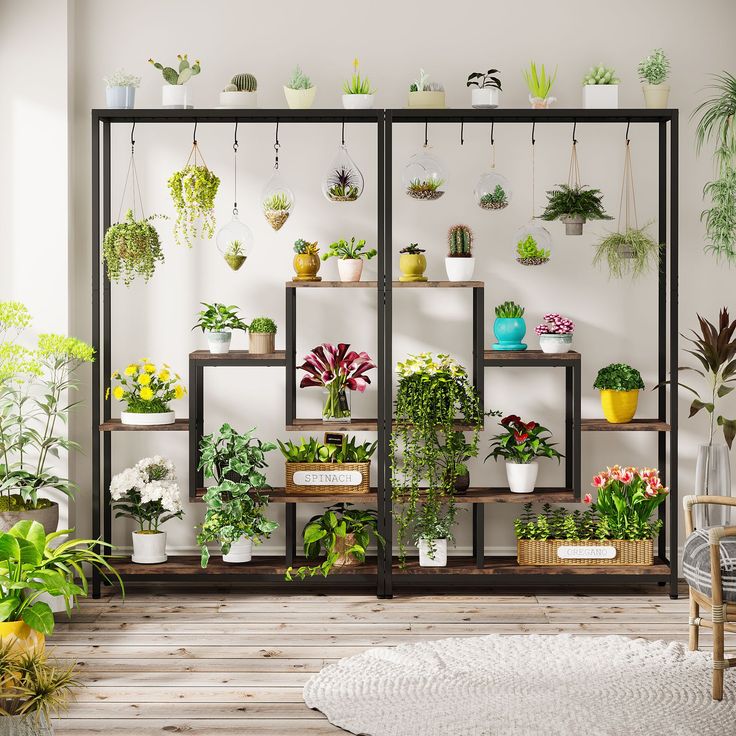 a room filled with lots of potted plants next to a wall mounted shelving unit