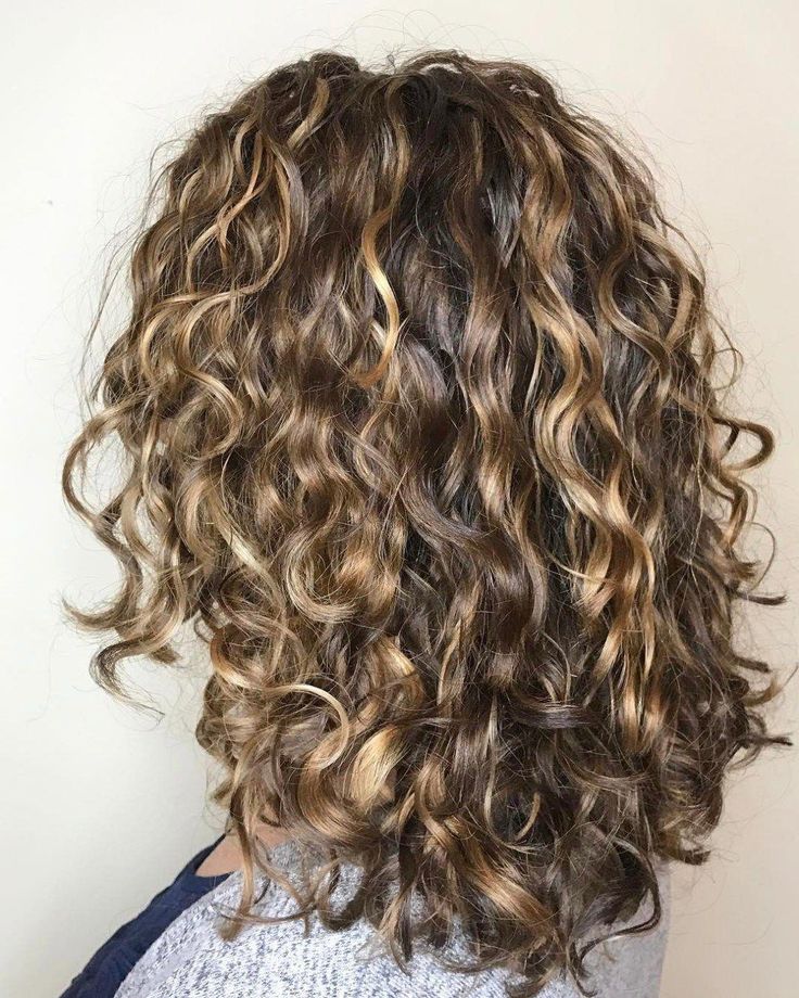 Curly Brown Hair With Dark Blonde Highlights #haircutsforlongcurly Blonde Highlights Curly Hair, Dark Blonde Highlights, Highlights Curly Hair, Curly Hair Photos, Haircuts For Curly Hair, Penteado Cabelo Curto, Curly Bob Hairstyles, Mid Length Hair, Curly Hair Tips