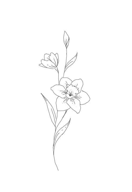 the outline of a flower is shown in black and white, with one single flower on it