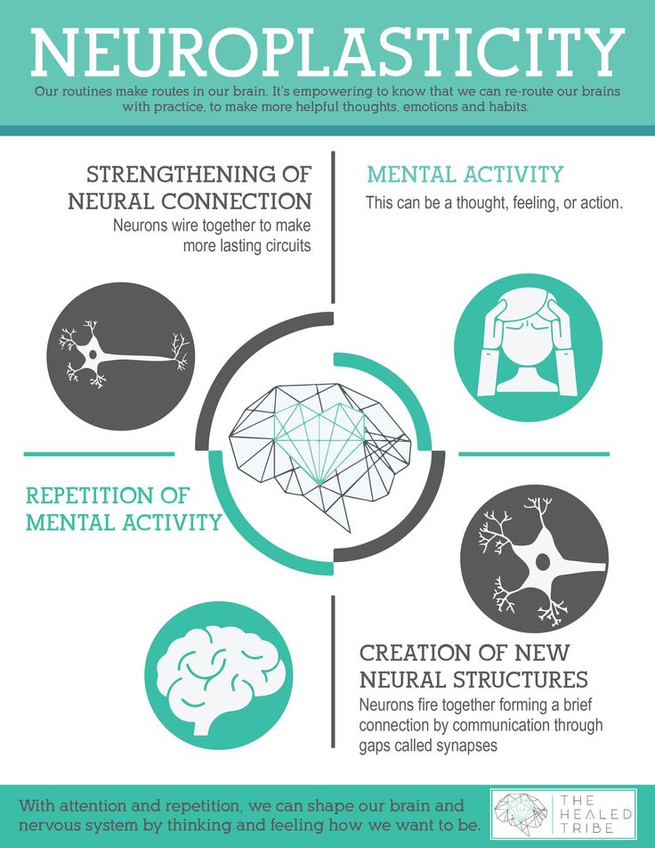 the neuroplasticty info sheet is shown