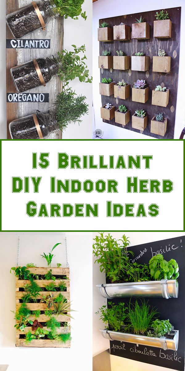 the words is brilliant diy indoor herb garden ideas