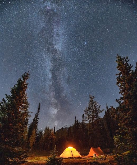 the night sky is filled with stars above tents and pine trees in the woods, while the milky shines brightly