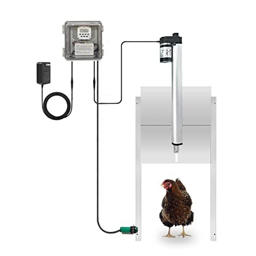 a chicken is standing in front of an electronic device that has been connected to it