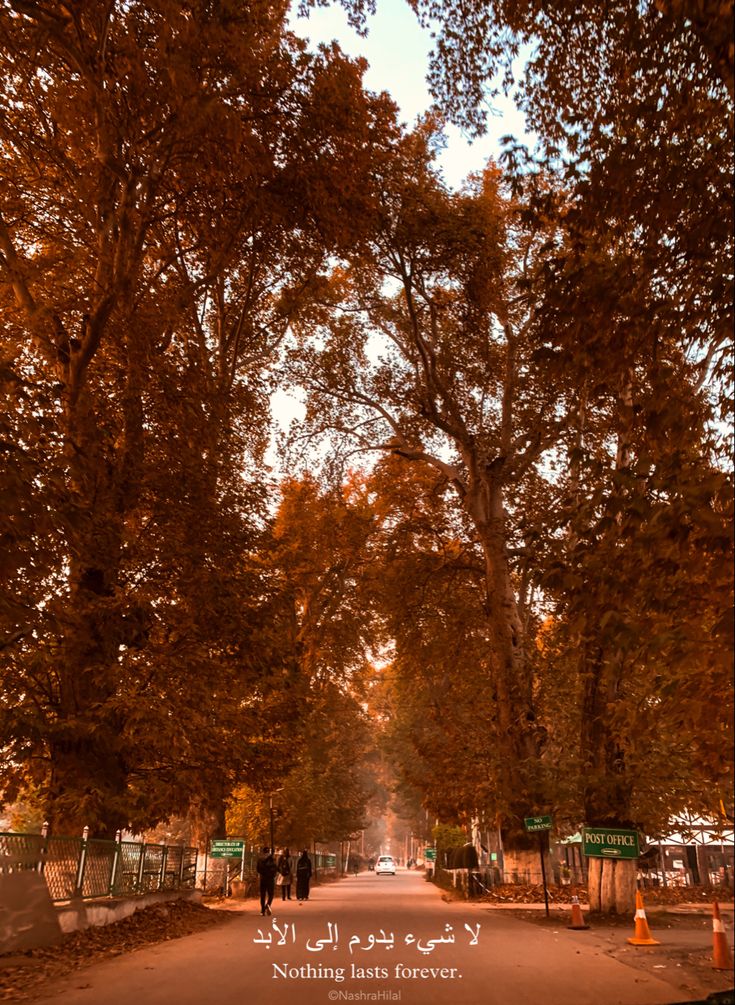 an empty road surrounded by trees and people walking down it with the words nothing less forever written in arabic