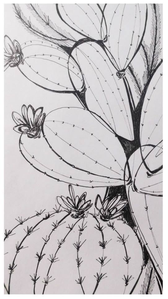 an ink drawing of a cactus with flowers on it's back and leaves in the background