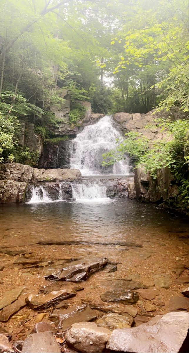 a small waterfall in the middle of a forest with lots of rocks and trees around it