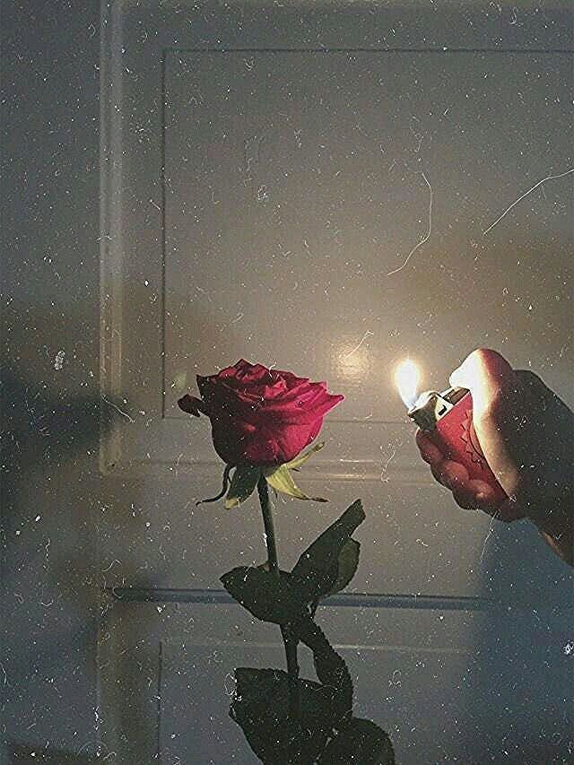 a person holding a rose with a lighter in their hand